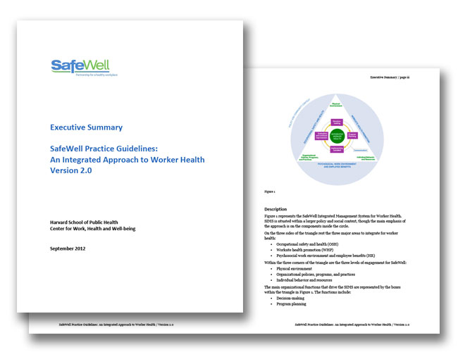 Image of guidelines booklet for Safewell project