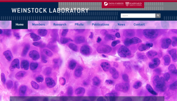 Screen shot of the Weinstock Lab's homepage