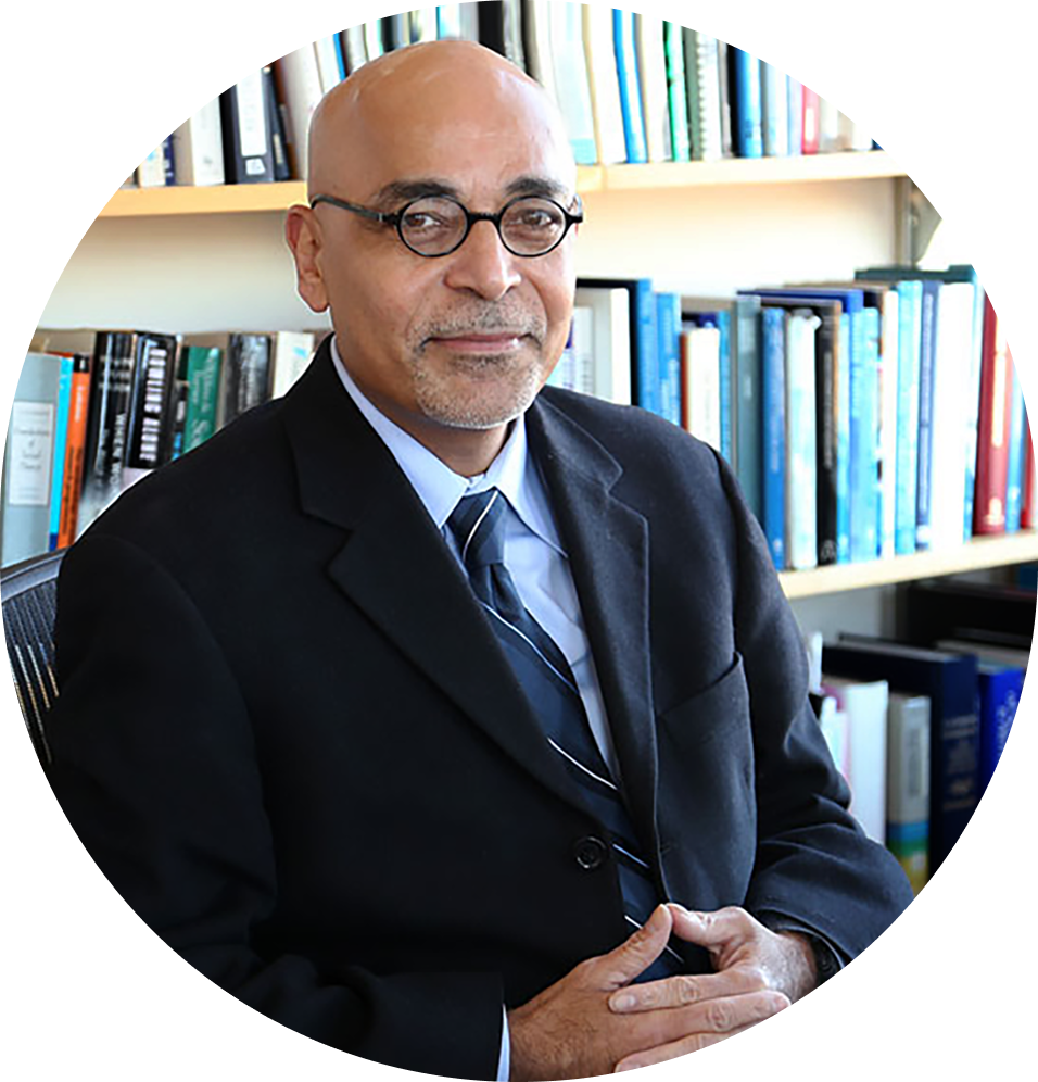 Vish Viswanath portrait